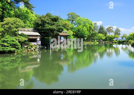 Giardino Kenrokuen in verde fresco Foto Stock