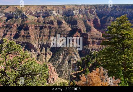 vista spettacolare dal luminoso angolo in autunno sul bordo nord del grande parco nazionale del canyon, arizona Foto Stock