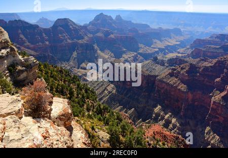 vista spettacolare dal luminoso angolo in autunno sul bordo nord del grande parco nazionale del canyon, arizona Foto Stock