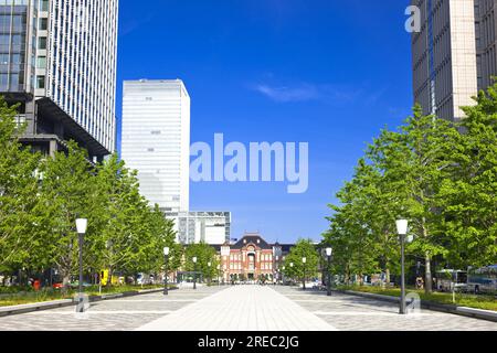 Stazione di Tokyo Foto Stock