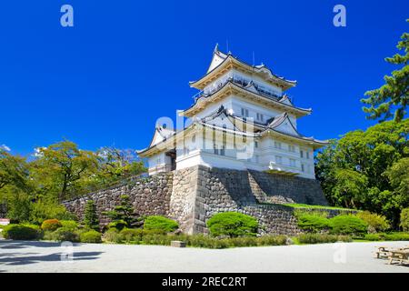 Il castello di Odawara Foto Stock