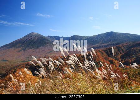 Mt. Iwate Foto Stock