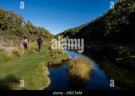 El Sotillo de Tejera Negra, Parco Naturale Sierra Norte de Guadalajara, Cantalojas, Guadalajara, Spagna Foto Stock