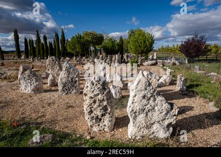 La stele funeraria di Vacceos, necropoli di Las Ruedas, antica città di Vaccea di Pintia, Padilla de Duero, provincia di Valladolid, Spagna Foto Stock