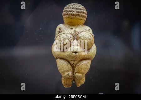 Venere di Willendorf, figurina calcarea femminile, Paleolitico superiore Gravetiano, Museo de la Evolución humana, MEH, Burgos , Spagna Foto Stock