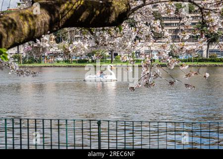 3 aprile 2022 a Roma, Italia: Parco del lago EUR durante il giorno con pedalò e due persone che si godono il bel tempo. Foto Stock