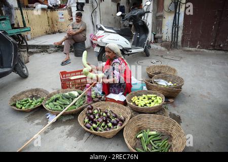 Jodhpur, India. 26 luglio 2023. Una vecchia signora organizza verdure in un negozio di vendita di verdure a Udaipur, Rajasthan, India, mercoledì 26 luglio 2023. Udaipur nel Rajasthan è anche chiamata città dei laghi. Foto di Anshuman Akash/ABACAPRESS.COM credito: Abaca Press/Alamy Live News Foto Stock