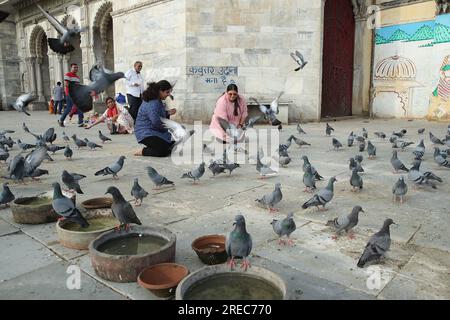 Jodhpur, India. 26 luglio 2023. Le ragazze danno da mangiare agli uccelli a Udaipur, Rajasthan, India, mercoledì 26 luglio 2023. Udaipur nel Rajasthan è anche chiamata città dei laghi. Foto di Anshuman Akash/ABACAPRESS.COM credito: Abaca Press/Alamy Live News Foto Stock