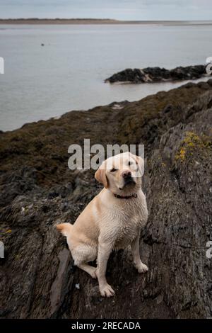 Snowdonia in inverno Foto Stock
