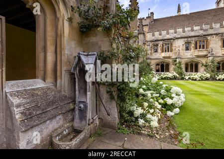 Magdalen College Cloisters, Oxford University, Oxford, Oxfordshire, Inghilterra, REGNO UNITO Foto Stock