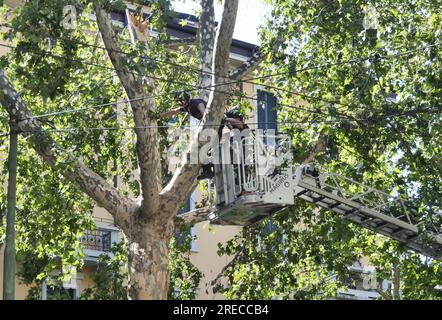 Vigili del fuoco intervengono per mettere in sicurezza case e alberi dopo una forte tempesta nel centro di Milano Foto Stock