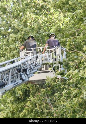 Vigili del fuoco intervengono per mettere in sicurezza case e alberi dopo una forte tempesta nel centro di Milano Foto Stock