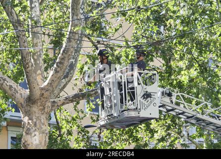 Vigili del fuoco intervengono per mettere in sicurezza case e alberi dopo una forte tempesta nel centro di Milano Foto Stock