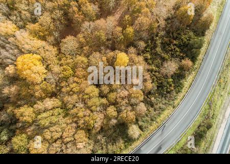 vista aerea di un ciclista su una strada in un paesaggio autunnale Foto Stock