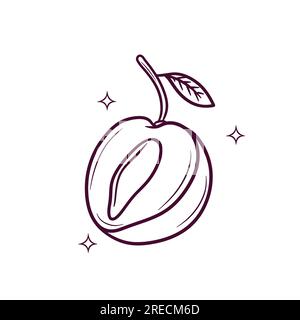 Prugna disegnata a mano. Illustrazione dello schizzo vettoriale di Doodle Illustrazione Vettoriale