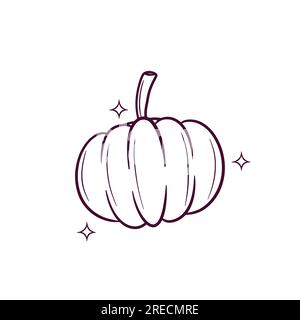 Zucca disegnata a mano. Illustrazione dello schizzo vettoriale di Doodle Illustrazione Vettoriale