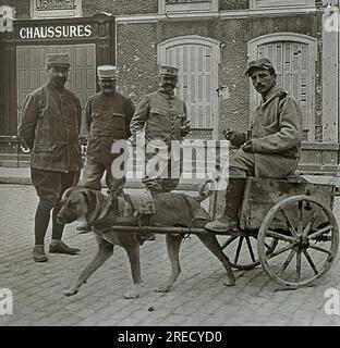 Premiere Guerre mondiale, vie quotidienne des soldats de l'Armée Francaise, jouant avec onu chien pris aux Allemands. Photographie, 1914-1918, Parigi. Foto Stock