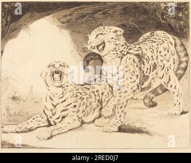 Samuel William Reynolds i dopo James Northcote, Leopards, 1798, incisione, soffocamento, e la roulette su carta posata [prima prova], piastra: 48,1 x 60,3 cm (18 15/16 x 23 3/4 poll.) Foglio: 51,9 x 70,3 cm (20 7/16 x 27 11/16 pollici), Gaillard F. Ravenel e Frances P. Smyth-Ravenel Fund, 2002.65.4' Foto Stock