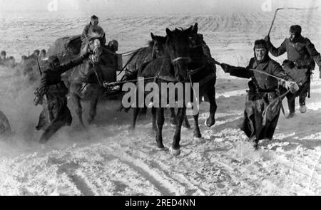 I soldati tedeschi guidano una squadra di cavalli nell'inverno del 1941/42 nella sezione meridionale del fronte orientale. [traduzione automatica] Foto Stock