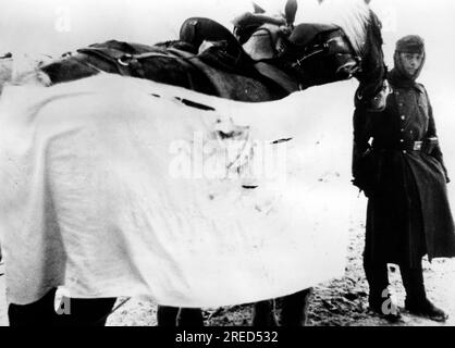 Soldato tedesco con cavalli con panni avvolti intorno a loro per mimetizzarli dalla neve bianca. Foto: Agricoltore [traduzione automatizzata] Foto Stock