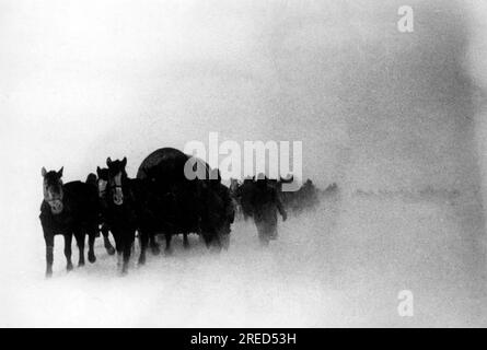 Colonna di rifornimento tedesca vicino a Rostov-sul-Don nella sezione meridionale del fronte orientale nella primavera del 1942. Foto: Hähle [traduzione automatica] Foto Stock