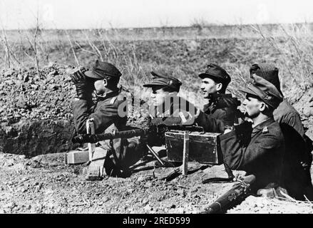 Ufficiali di fanteria di montagna in una posizione nella testa di ponte del Kuban. Foto: Schwelm [traduzione automatizzata] Foto Stock