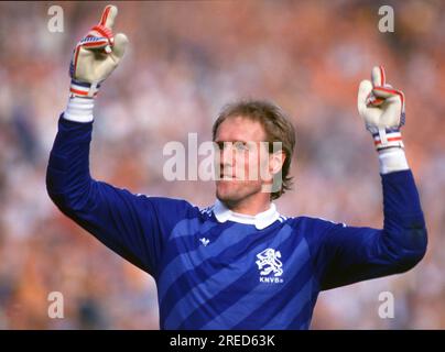 Calcio EM 1988 in Germania / Inghilterra - Paesi Bassi 1:3 /15.06.1988 in Düsseldorf / portiere Hans van Breukelen (NL) è felice , saluti [traduzione automatizzata] Foto Stock