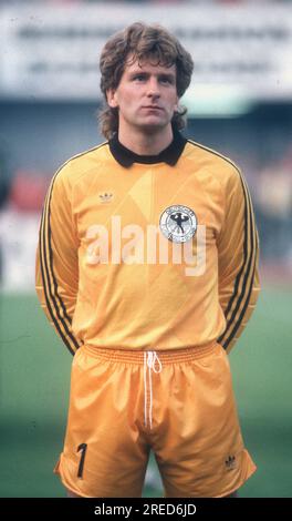 Campionato europeo di calcio 1988 / partita di apertura BR Germania - Italia a Düsseldorf 1:1 su 10.06.1988 / Eike Immel (GER) [traduzione automatica] Foto Stock