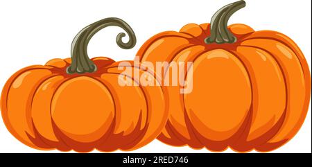 Due zucche autunnali arancioni in stile cartone animato. Elemento di design per Halloween, il Ringraziamento e il festival del raccolto. Verdure dietetiche alla zucca. Illustrazione vettoriale Illustrazione Vettoriale