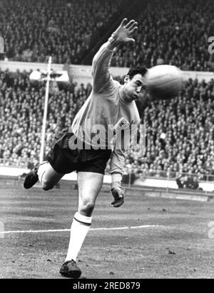 Coppa del mondo 1966 in Inghilterra. Portiere Gordon Banks (Inghilterra) 11.06.1966. [traduzione automatica] Foto Stock