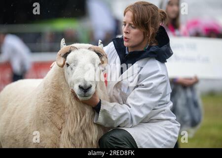 Gli agricoltori che mostrano le loro pecore sotto la pioggia al Royal Welsh Show 2023. Foto Stock