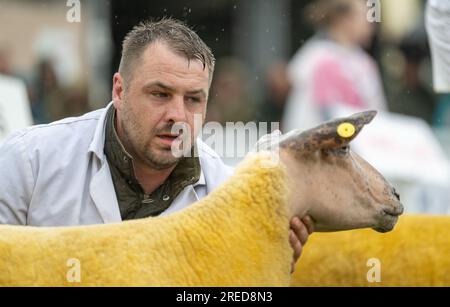 Gli agricoltori che mostrano le loro pecore sotto la pioggia al Royal Welsh Show 2023. Foto Stock