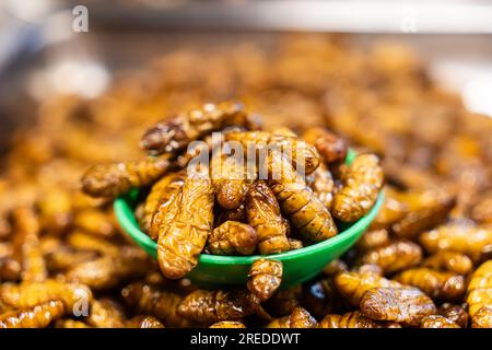 Cibo strano, cibo strano. insetti fritti in profondità, cibo di strada locale nel mercato notturno, thailandia. Pipa, frittura di bachi da seta, spuntino fritto di larve di insetti come exo Foto Stock