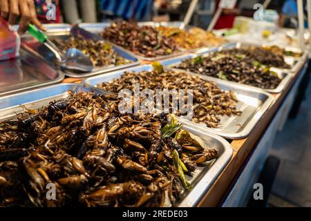 Insetti fritti vermi da pasto per snack. Le cavallette fritte sono insetti alimentari. Spuntini thailandesi popolari nei cibi di strada Foto Stock