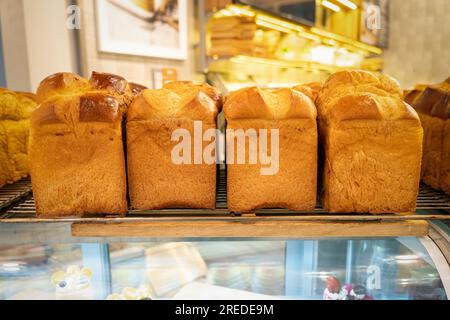 Pane appena sfornato. Pane con crosta dorata. Panini assortiti. pasticceria fresca al bancone del negozio. Foto Stock