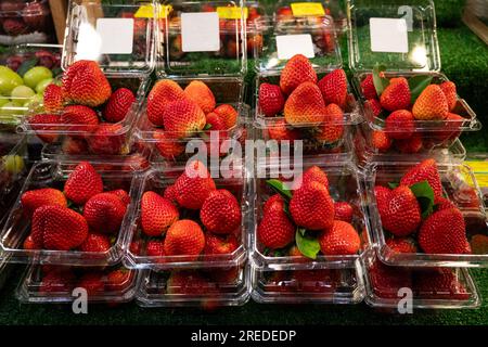 Bacinella di fragole in contenitori di plastica per la vendita presso un mercato locale Foto Stock