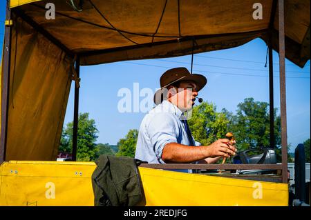 (Wilton Sheep Fair, Wilton, Wiltshire, Inghilterra) Foto Stock
