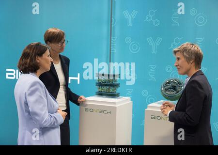 Magonza, Germania. 27 luglio 2023. Ministro federale della ricerca Bettina Stark-Watzinger (2° da sinistra) e Daniela Schmitt (l), Ministro dell'economia della Renania-Palatinato, hanno parlato con Felicitas Müller del Research Executive Board del team di ricerca di base di Biontech durante la loro visita al produttore di vaccini Biontech con sede a Magonza. Crediti: Helmut Fricke/dpa/Alamy Live News Foto Stock