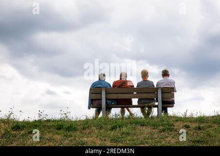 Anziani seduti su una panchina sulla diga a Zons sul fiume Reno, Renania settentrionale-Vestfalia, Germania Senioren sitzen auf einer Bank auf dem Deich a Zon Foto Stock