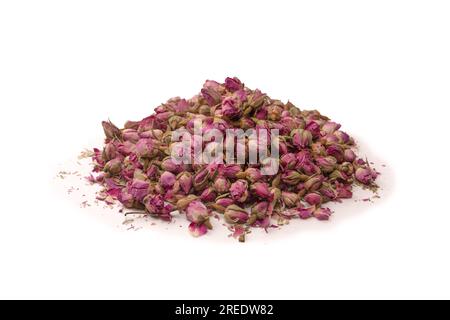 Rose di tè asciutte isolate su uno sfondo bianco. Foto Stock