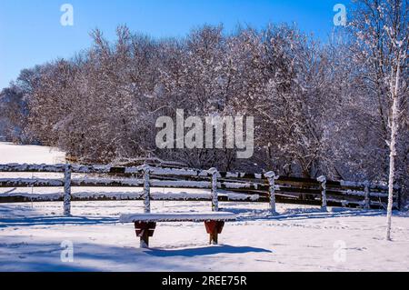 L'inverno nel New England è davvero bello. Foto Stock