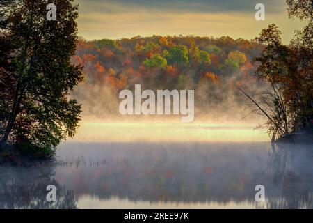 La Cheqamegon Nicolet National Forest copre più di 1,5 milioni di acri di boschi del nord del Wisconsin. Ho passato diversi giorni in campeggio lo scorso autunno. Foto Stock