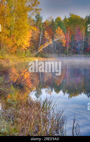 La Cheqamegon Nicolet National Forest copre più di 1,5 milioni di acri di boschi del nord del Wisconsin. Ho passato diversi giorni in campeggio lo scorso autunno. Foto Stock