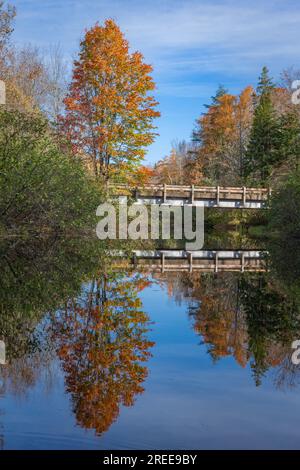 La Cheqamegon Nicolet National Forest copre più di 1,5 milioni di acri di boschi del nord del Wisconsin. Ho passato diversi giorni in campeggio lo scorso autunno. Foto Stock