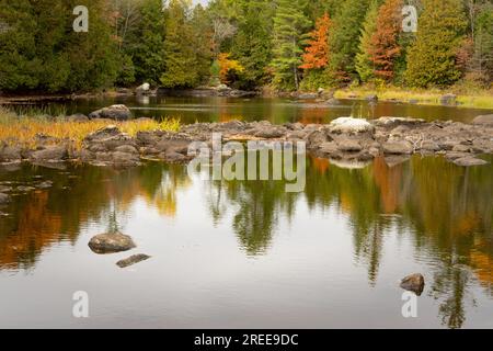 La Cheqamegon Nicolet National Forest copre più di 1,5 milioni di acri di boschi del nord del Wisconsin. Ho passato diversi giorni in campeggio lo scorso autunno. Foto Stock