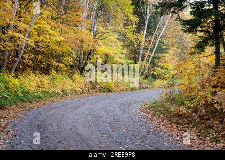 La Cheqamegon Nicolet National Forest copre più di 1,5 milioni di acri di boschi del nord del Wisconsin. Ho passato diversi giorni in campeggio lo scorso autunno. Foto Stock