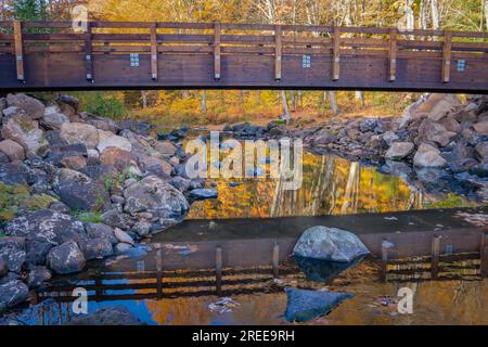 La Cheqamegon Nicolet National Forest copre più di 1,5 milioni di acri di boschi del nord del Wisconsin. Ho passato diversi giorni in campeggio lo scorso autunno. Foto Stock