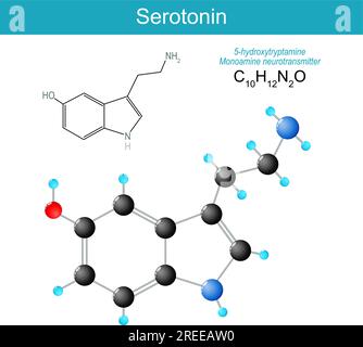 molecola di serotonina. formula strutturale chimica molecolare e modello di neurotrasmettitore monoammina. Ormone del regolatore dell'umore. Illustrazione vettoriale Illustrazione Vettoriale