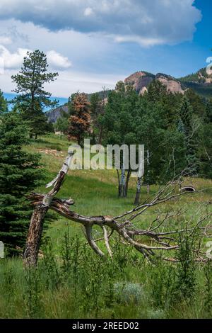 Lo Staunton State Park del Colorado offre un programma di sedie a rotelle che consente alle persone disabili di utilizzare i sentieri escursionistici di questa parte delle Montagne Rocciose. Foto Stock