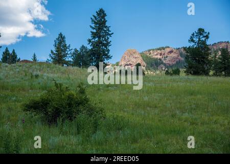 Lo Staunton State Park del Colorado offre un programma di sedie a rotelle che consente alle persone disabili di utilizzare i sentieri escursionistici di questa parte delle Montagne Rocciose. Foto Stock